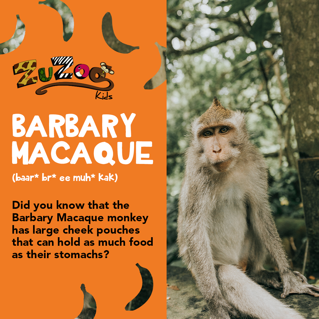 #DidYouKnow?