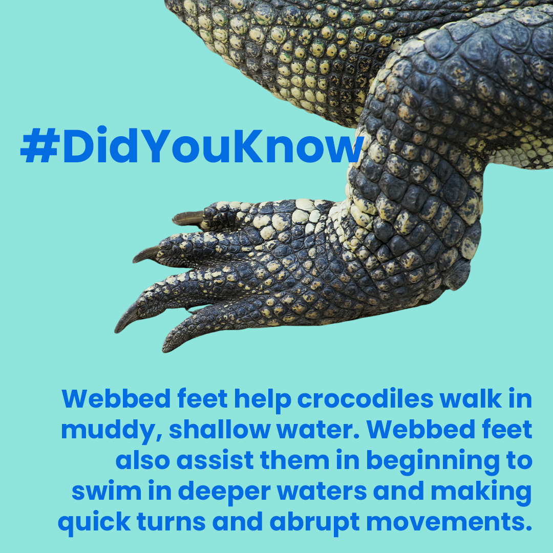 #DidYouKnow
