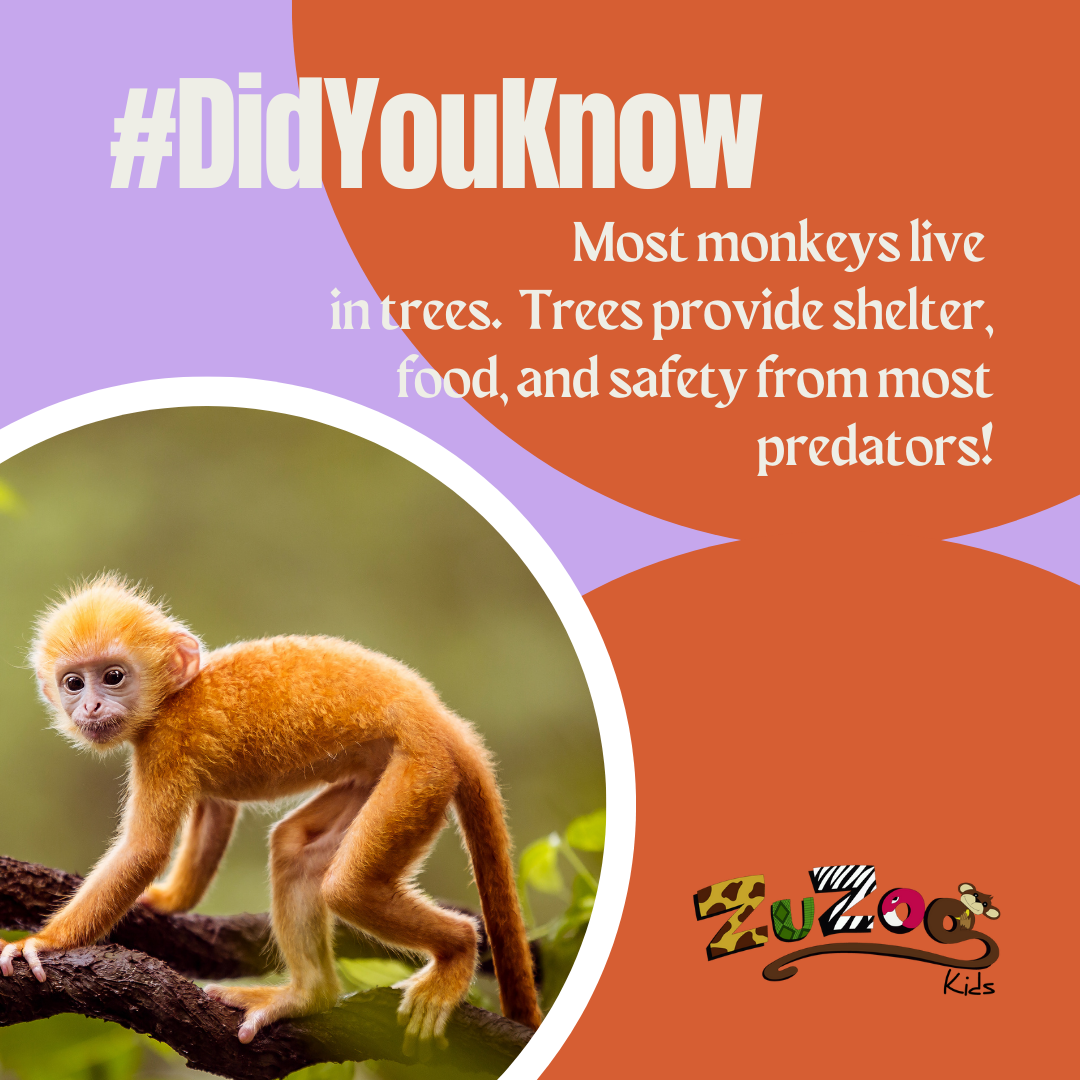 #DidYouKnow