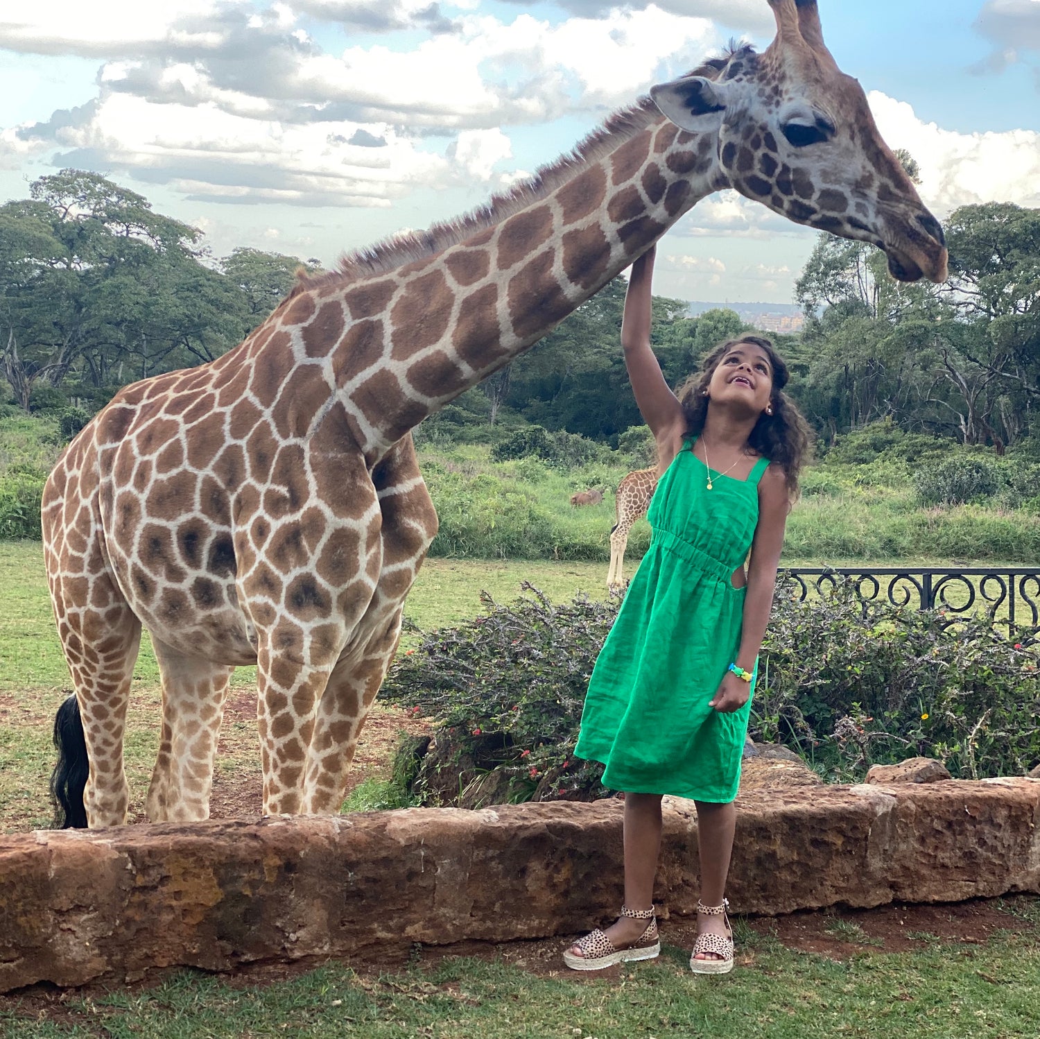 World Giraffe Day