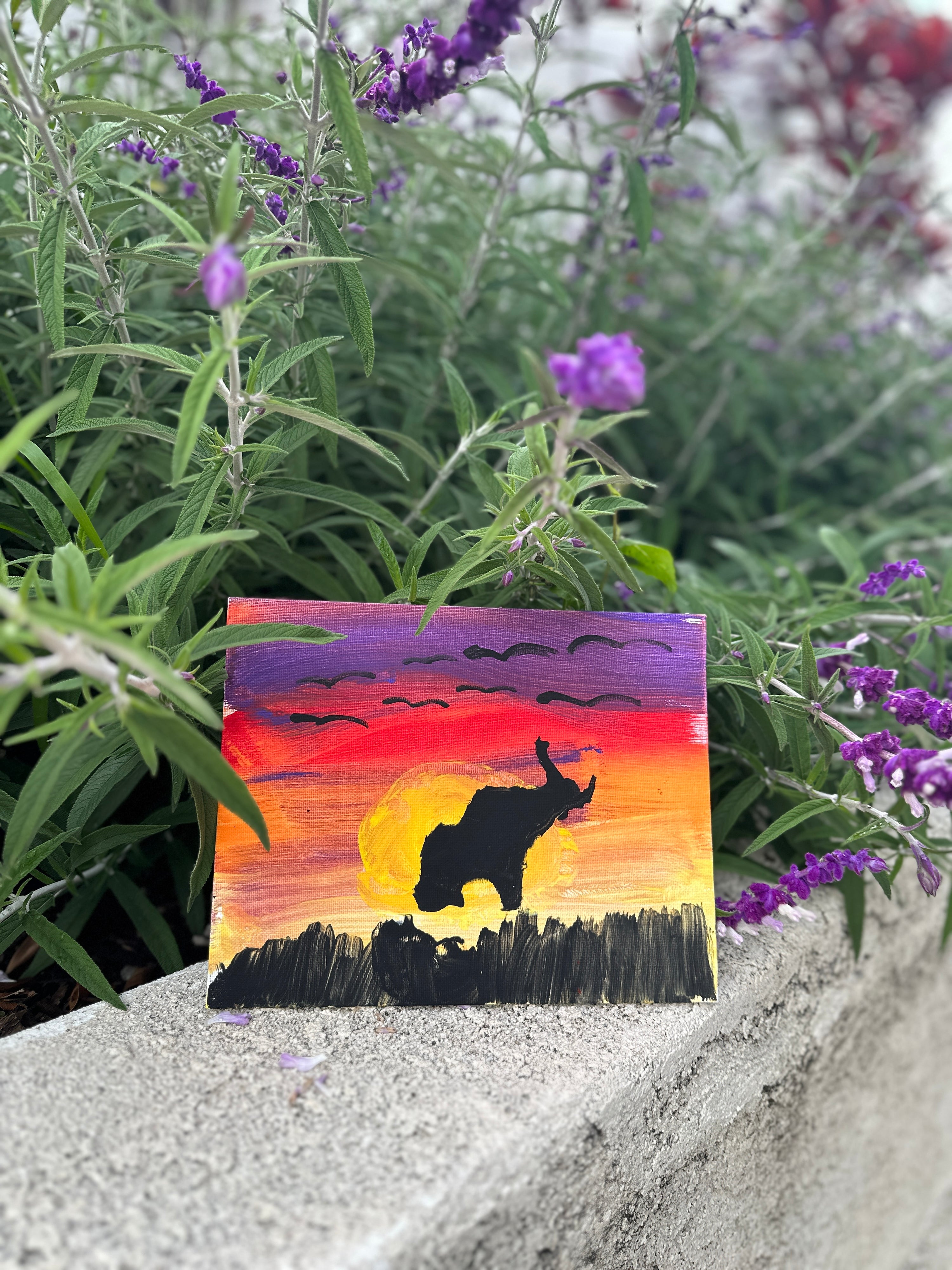 Safari Sunset